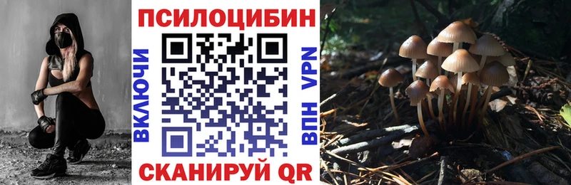 купить  сайты  Белорецк  Галлюциногенные грибы Psilocybe 
