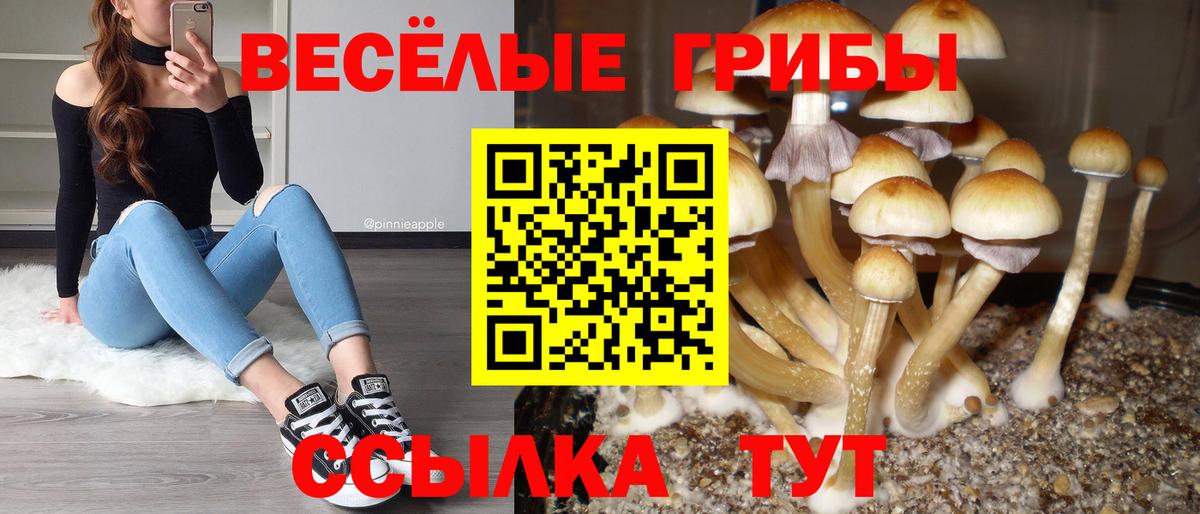 Галлюциногенные грибы мицелий Белорецк