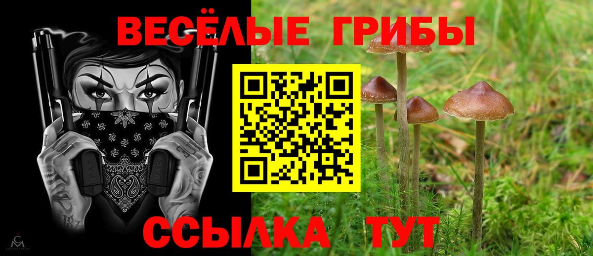 даркнет сайт  Вход с VPN  Белорецк  Псилоцибиновые грибы GOLDEN TEACHER 